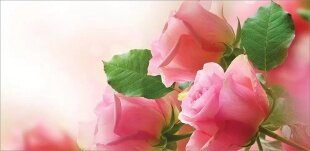 Конверты для денег, Нежные розы, 1 шт.