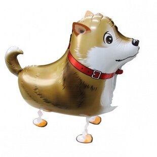 Шар 3D (24''/61 см) Ходячая Фигура, Лайка, 1 шт.
